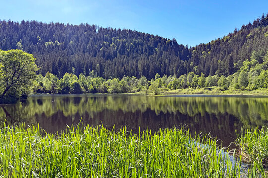 Sankenbach See