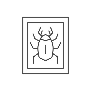 Insect specimen line outline icon