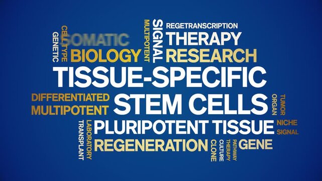 tissue-specific stem cells animated word cloud-text design animation tag kinetic typography seamless loop.