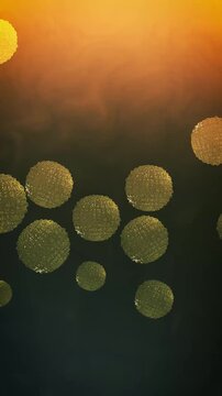 Micrococcus luteus Pathogen Medical Simulation in Microscopic Setting - Vertical