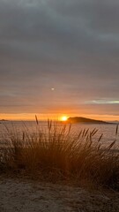 Fototapeta premium Coucher de soleil sur la mer avec roseaux en silhouette