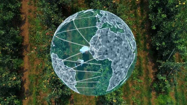Female and male farmers walking orchard rows, globe appearing above mapping global crop network