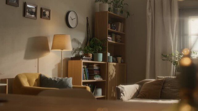 No people interior shot of cozy modern living room with comfortable sofa, armchair, wooden shelves, houseplants and warm natural sunlight