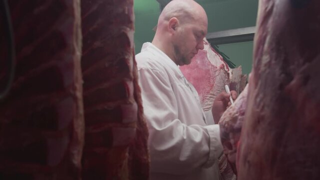 Production control man supervisor inspects, controls beef, production line of raw meat factory in industrial cold room storage refrigerator. Quality control. Male inspector checks freshness of meat