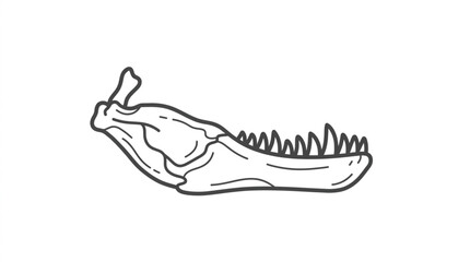 Detailed Illustration of a Dinosaur Jawbone with Sharp Teeth. © Sak
