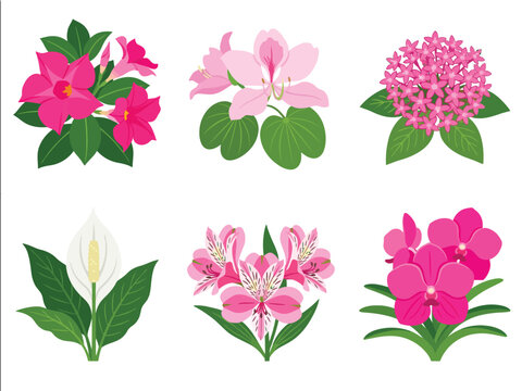 Tropical Exotic Flowers Edition #23&mdash;Mandevilla,  Bauhinia, Pentas, Spathiphyllum, and Alstroemeria Vector Illustration. Design Element. Clip art. Suitable for artwork design. Editable for any design.
