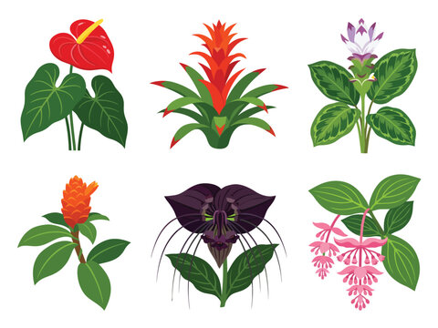 Tropical Exotic Flowers Edition #19&mdash;Anthurium,  Bromelia,  Calathea, Costus, and Bat Flower. Vector Illustration. Design Element. Clip art. Suitable for artwork design. Editable for any design.