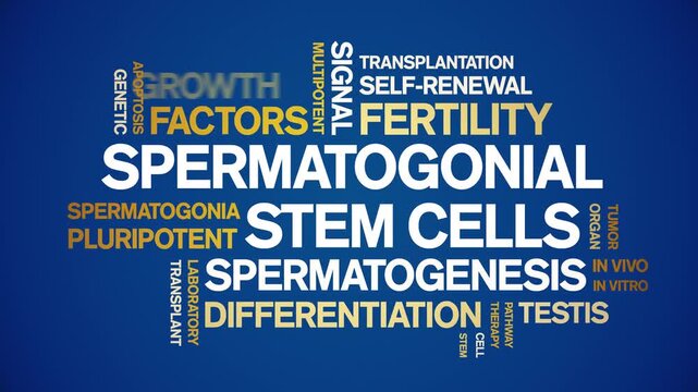 Spermatogonial Stem Cells animated word cloud-gross domestic product animation tag kinetic typography seamless loop.