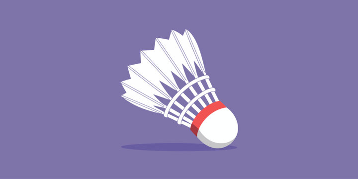 Cartoon flat style drawing shuttlecock for badminton logo. Sports equipment, hobbies. Standard of Olympic games, Badminton ball or shuttlecock isolated on white background with clipping path pro vectr