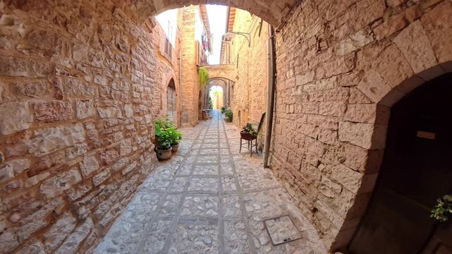 Ginger and white cat walking through historic stone alley with arches in Spello Italy