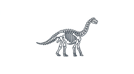 Dinosaur skeleton illustration isolated on white background. © Supoyo