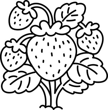 Line drawing of a strawberry plant on a white background, for a coloring book.