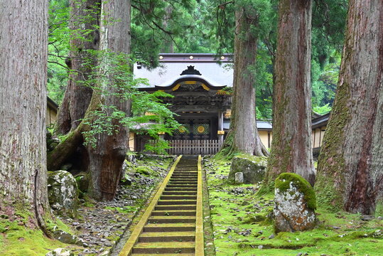 永平寺の苔むした石段と杉木立に包まれた山門  
Moss-covered stone steps and cedar-lined gate at Eiheiji Temple
