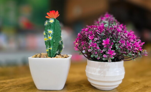 Artificial tree with pink leaves and artificial cactus in white pot. An artificial plant with green and pink leaves could be Aerva sanguinolenta, Cactus is dark green stem with orange flowers.
