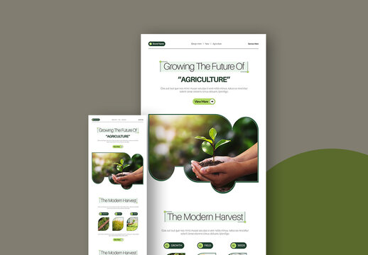 Email Newsletter Template Layout