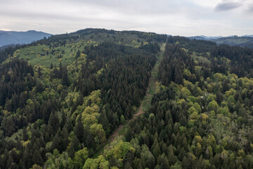Obraz premium Aerial drone photo of power lines running through dense forested hills in Washington, USA. Pacific Northwest landscape showing utility infrastructure surrounded by evergreen woodland