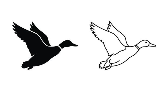 Duck Silhouette And Outline On White Background