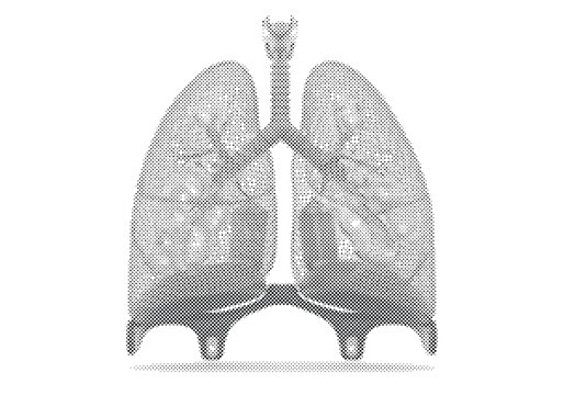 Artificial Cybernetic Human Lungs 3D Render with Graphene Mesh Lobes and Blue Oxygen Exchange Glow