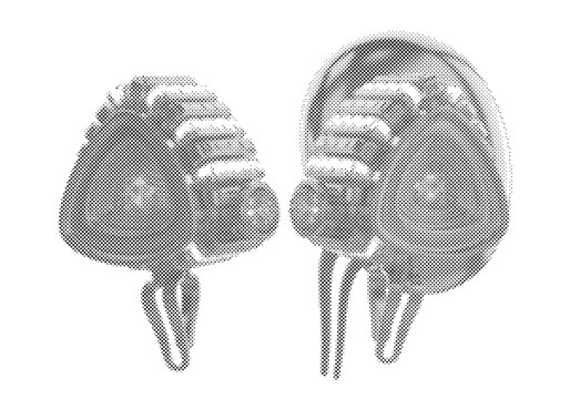 Cybernetic Adrenal Gland Hormone Prosthetic 3D Illustration with Futuristic Biomechanical Dual Zone Reactor Design