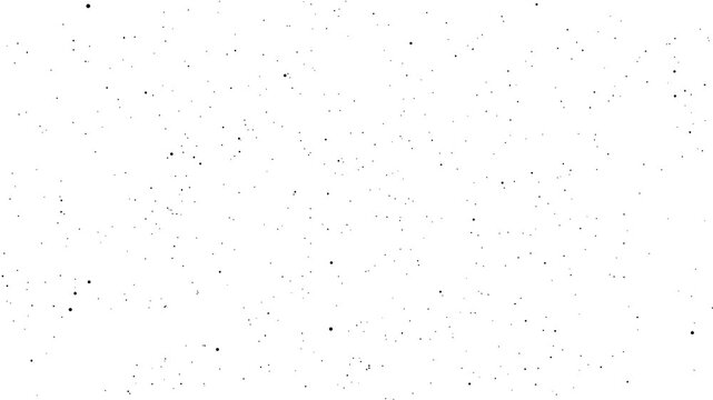 Minimal Black Dot Chaos Motion Abstract Animation White Background