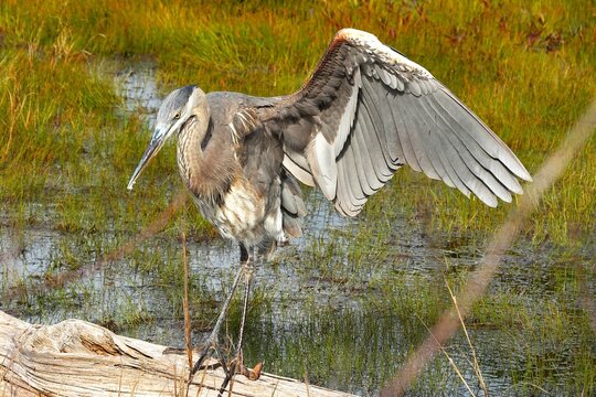 Week Stay At St Andrews State Park Florida
