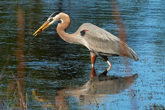Week Stay At St Andrews State Park Florida