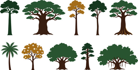 Collection of various trees with different shapes and colors on white background © VectoLover