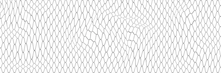 Fishing or soccer net. Repeated hexagon pattern. Black wired mesh texture isolated on white background. Metallic or fabric fence, cage or lattice structure. Vector graphic Illustration. © nong