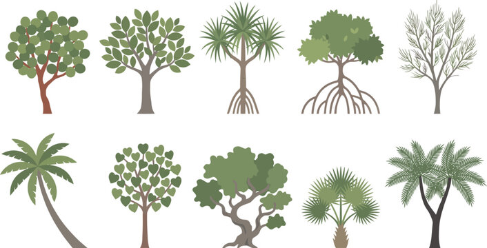 Various types of trees and palms in a collection of illustrations