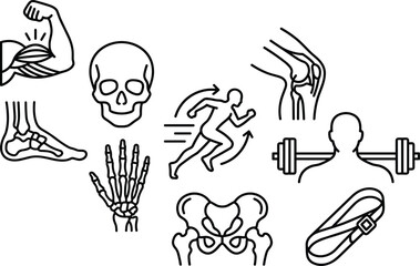 Obraz premium Human anatomy and orthopedic line icon set featuring bones, joints, fitness, and musculoskeletal healthcare symbols