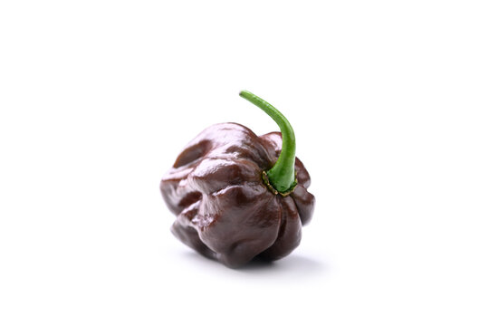 Chocolate habanero pepper close view on white background showing wrinkled texture. Hot chili, dark variety, organic produce, macro detail