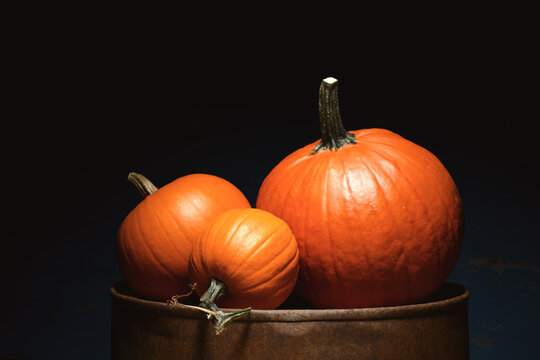 Bright orange pumpkins on metal barrel in dramatic lighting. Autumn still life with squash and seasonal harvest concept