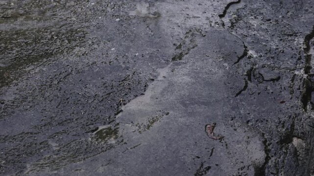 texture of the stone