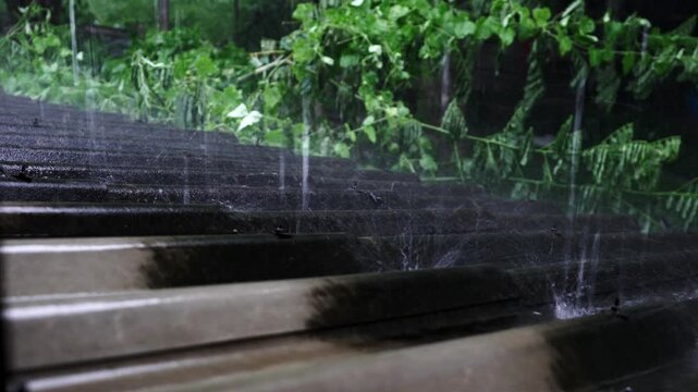 rain drops on the window