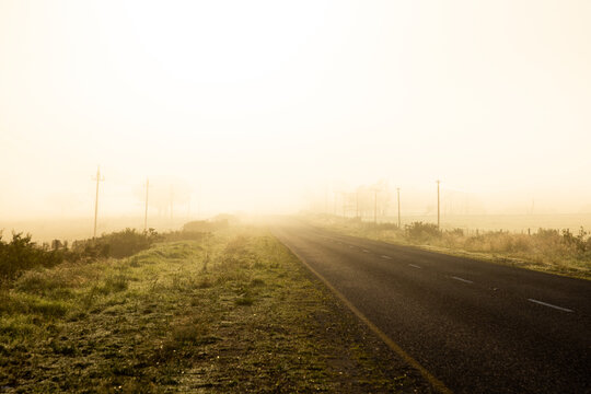 fog covered highway at sunrise, Stanford, South Africa