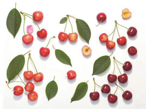 Several cherries in shades of light and dark red with yellow touches, and some leaves, scattered on a neutral background.