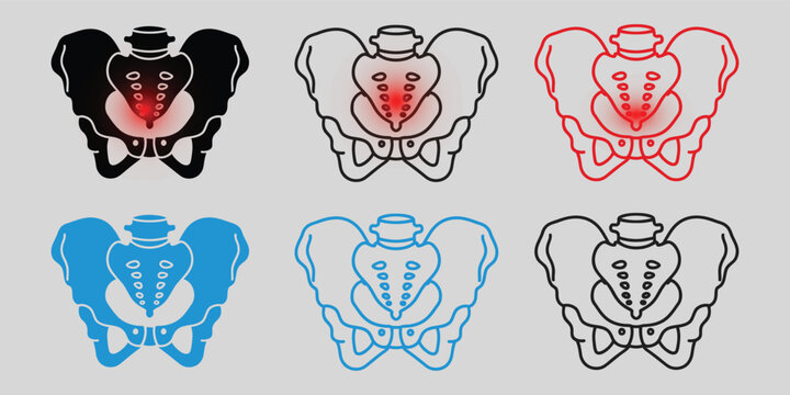 Pelvis Anatomy Icon Set Black Red Blue and Outline Variations