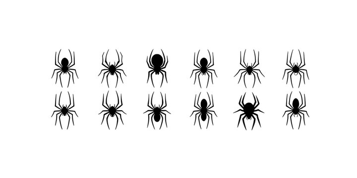 Spiders in Various Styles and Sizes Arranged in a Grid Pattern Featuring Spider, Black, Silhouette with Vector and Illustration Elements for Creepy,