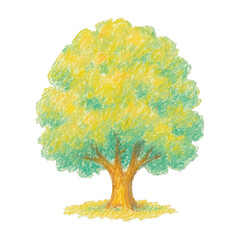 Obraz premium PNG Colorful crayon tree illustration.