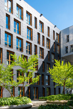 Residential building in La Confluence, Lyon, France rises beside trees, with colorful windows and facade rhythm shaping clean urban architecture