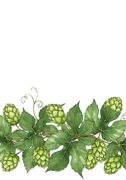 Watercolor Hop Vine: Lush Botanical Illustration