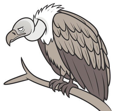 Cartoon image of a sleepy vulture.