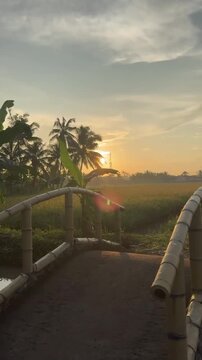 Aerial View Ambarawa Town Central Java Indonesia Rural Landscape Rice Fields and Mountains