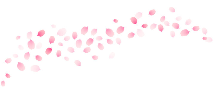 Sakura cherry petals, pink apricot flowers falling border. Cute spring japanese floral vector background