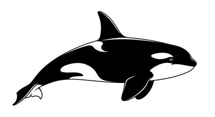 Stylized illustration of a killer whale © verikans