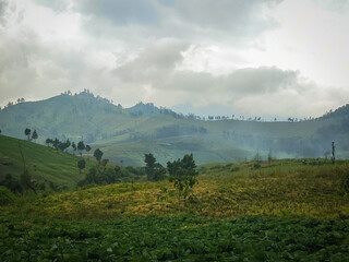 Fototapeta premium Green rolling mountains misty cloudy sky agricultural fields rural highland landscape serene scenery. Suitable for travel brochures, nature magazines, and environmental blogs.