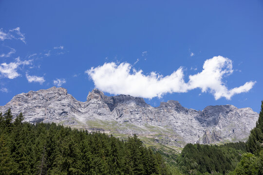 Mountain landscapes with trees and rocks and a lake