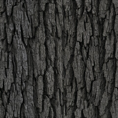 Fototapeta premium Matte Black Tree Bark Seamless Texture