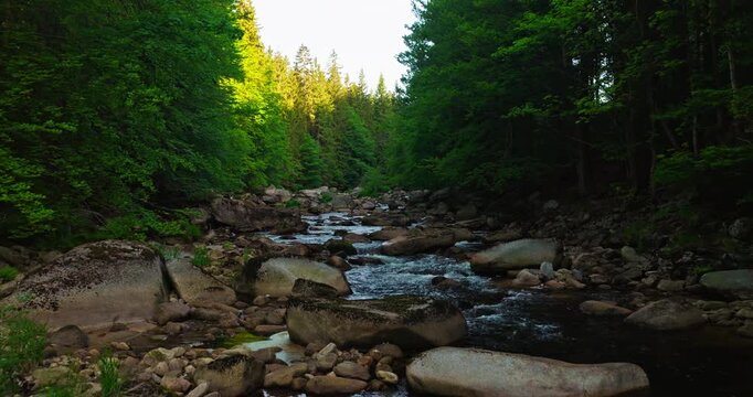 Gentle cinematic flyover above a rocky mountain river during spring sunrise. Peaceful flowing water surrounded by green forest landscape with natural morning light.