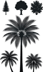 Obraz premium Black silhouette illustrations of diverse tree types including conifer, broadleaf, and palm trees for landscape and environmental projects